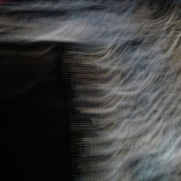 Rafaella Blouse - Picture 5 of 5